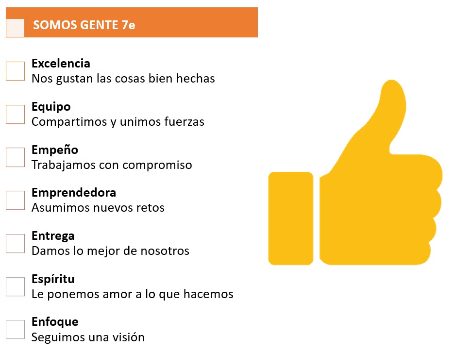 consultores tecnologicos 7E
