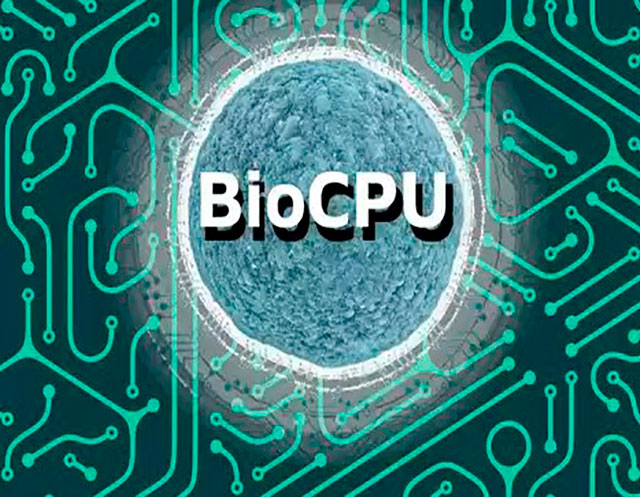 bioprocesador